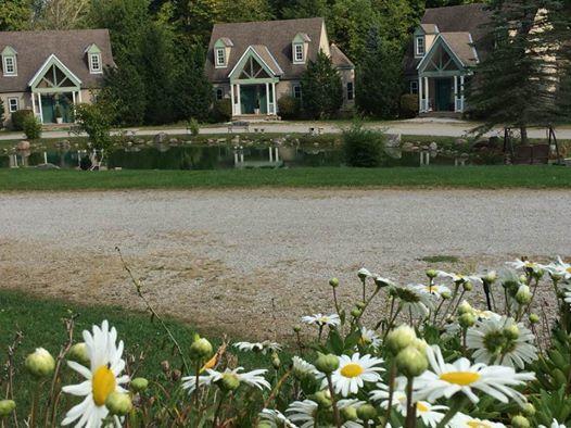 Spruce Hill Inn & Cottages Mansfield Eksteriør billede